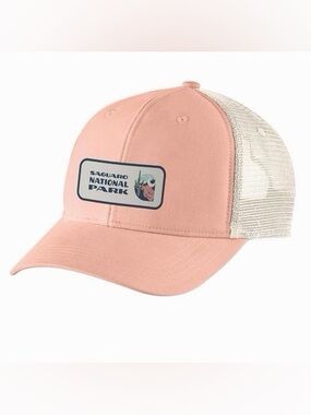 NWT Carhartt x Saguaro National Park Hat Patch Mesh Genuine Baseball Cap